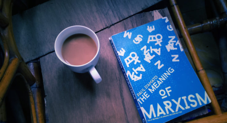 Introduction to Marx’s thinking by Paul D’Amato – Book Review
